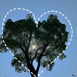 孙秀英的父女情缘与人生选择继父辣文
